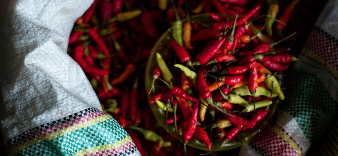 Hobby na świeżym powietrzu: pomysły na aktywne spędzanie czasu